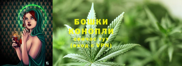 спиды Бронницы