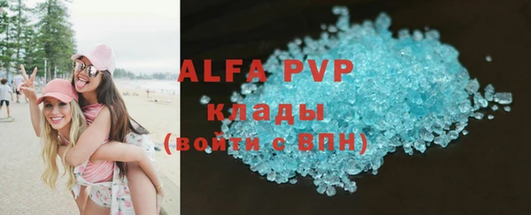 гидра Бородино
