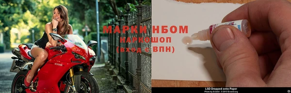 гидра Бородино
