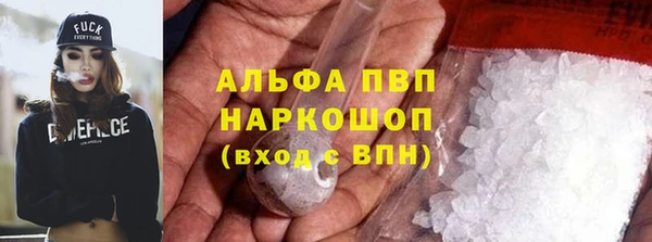 гидра Бородино