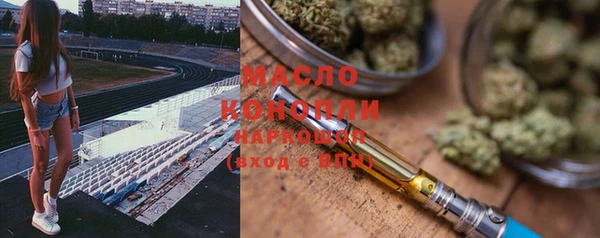 гидра Бородино
