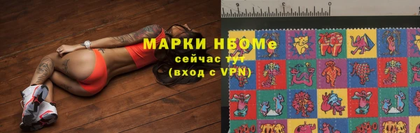 гидра Бородино