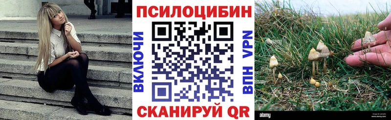 Псилоцибиновые грибы ЛСД  где продают   Котлас 